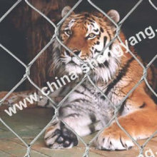 Tiger Enclosure Mesh